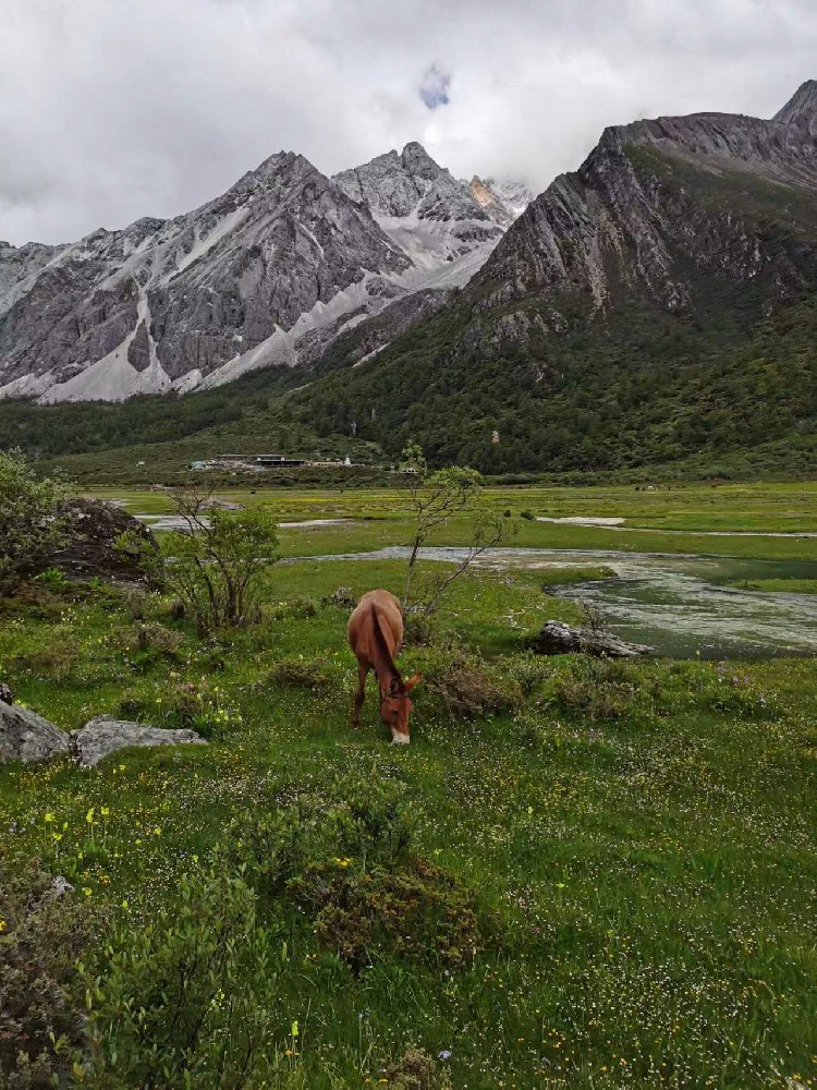 风景